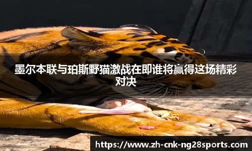 墨尔本联与珀斯野猫激战在即谁将赢得这场精彩对决