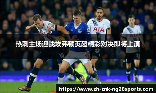 热刺主场迎战埃弗顿英超精彩对决即将上演
